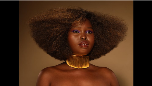 Penteados elegantes para festas e eventos