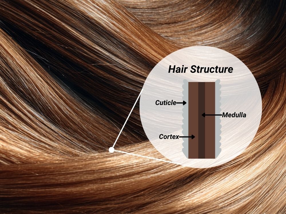 Cutícula do cabelo aberta e fechada mostrando o efeito do pH capilar