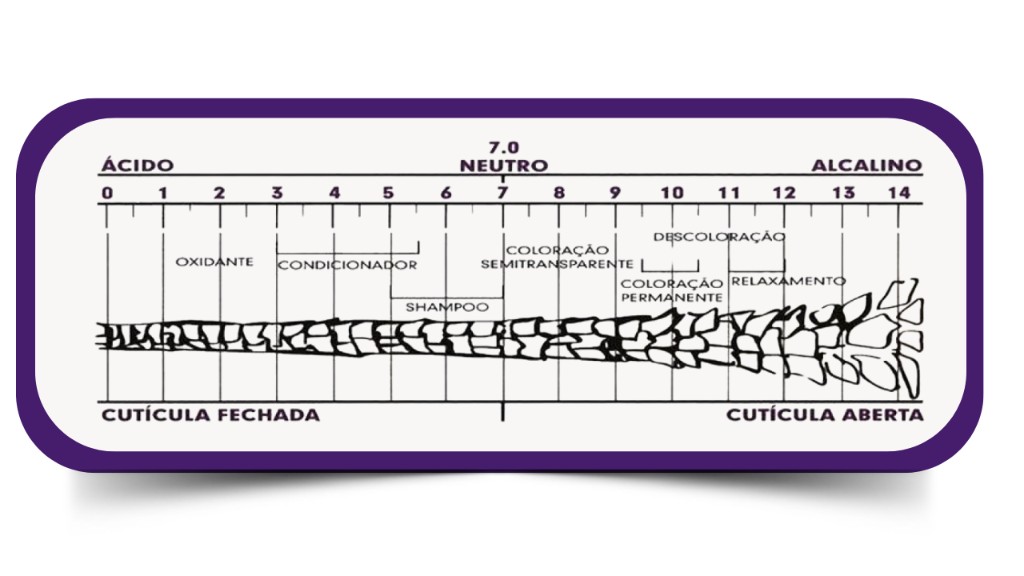 Escala de pH ideal do cabelo entre 4,5 e 6,5 segundo especialistas