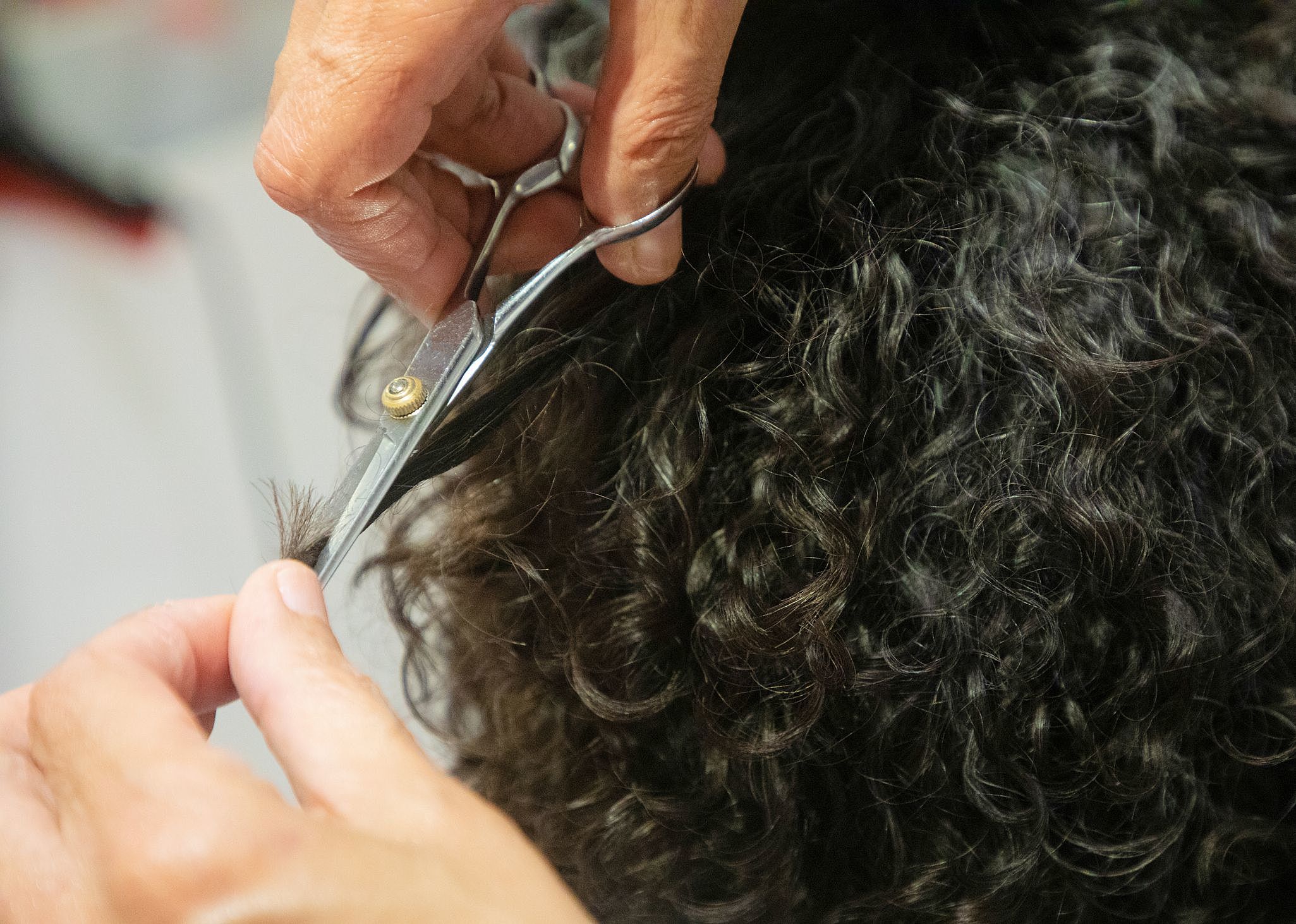 Cabeleireira fazendo corte a seco em cabelo cacheado, cortando cacho a cacho com tesoura para respeitar a queda natural dos fios